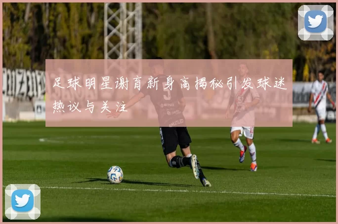 足球明星谢育新身高揭秘引发球迷热议与关注