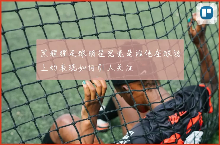 黑猩猩足球明星究竟是谁他在球场上的表现如何引人关注