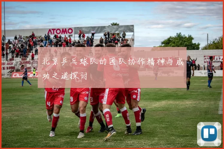 北京乒乓球队的团队协作精神与成功之道探讨