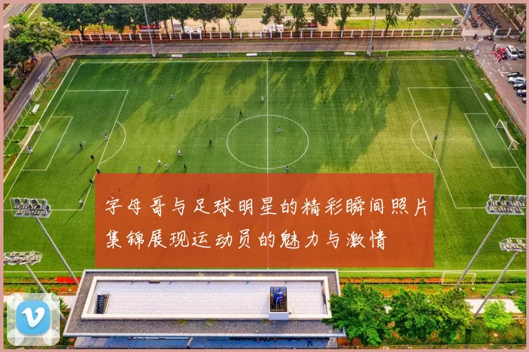 字母哥与足球明星的精彩瞬间照片集锦展现运动员的魅力与激情