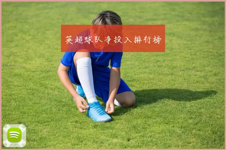 英超球队净投入排行榜