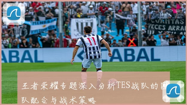 王者荣耀专题深入分析TES战队的团队配合与战术策略