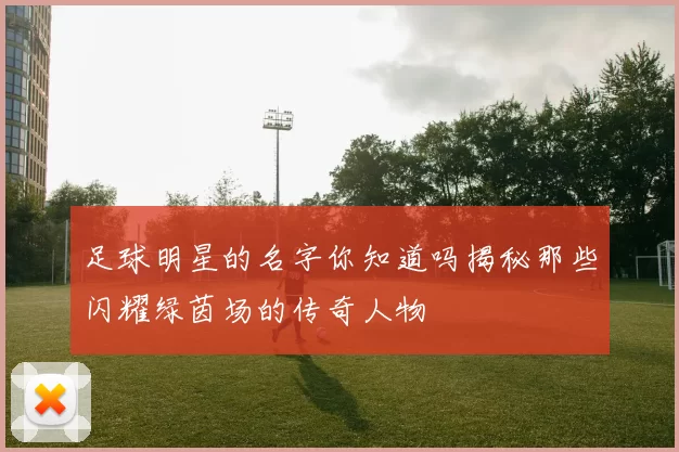 足球明星的名字你知道吗揭秘那些闪耀绿茵场的传奇人物