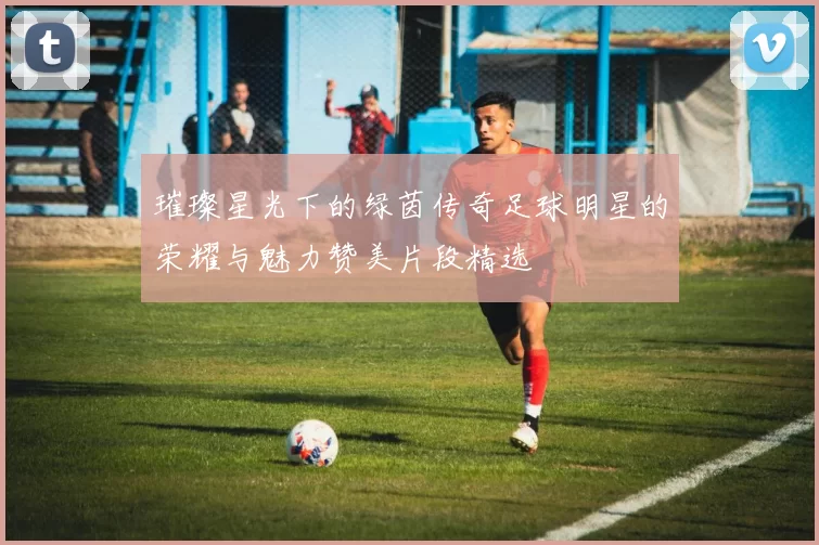 璀璨星光下的绿茵传奇足球明星的荣耀与魅力赞美片段精选