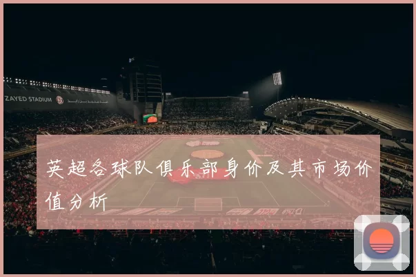 英超各球队俱乐部身价及其市场价值分析