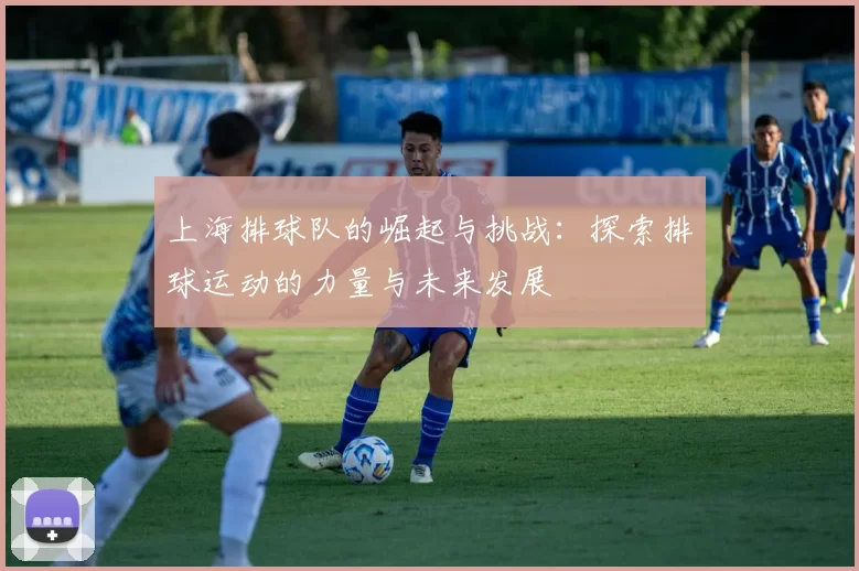 上海排球队的崛起与挑战：探索排球运动的力量与未来发展