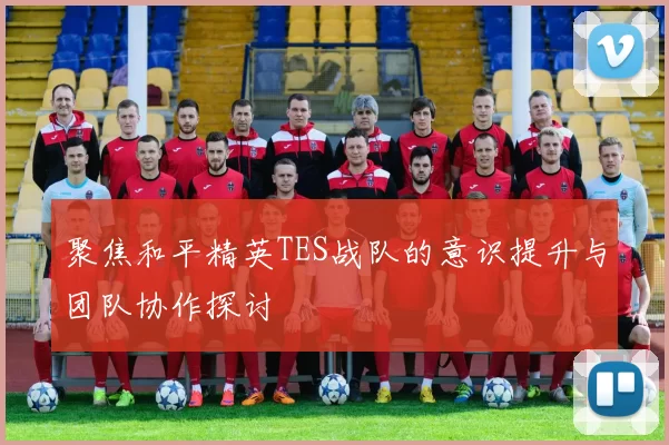 聚焦和平精英TES战队的意识提升与团队协作探讨