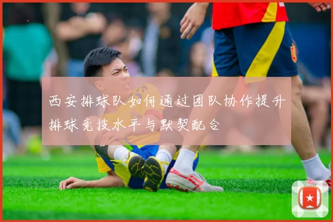 西安排球队如何通过团队协作提升排球竞技水平与默契配合