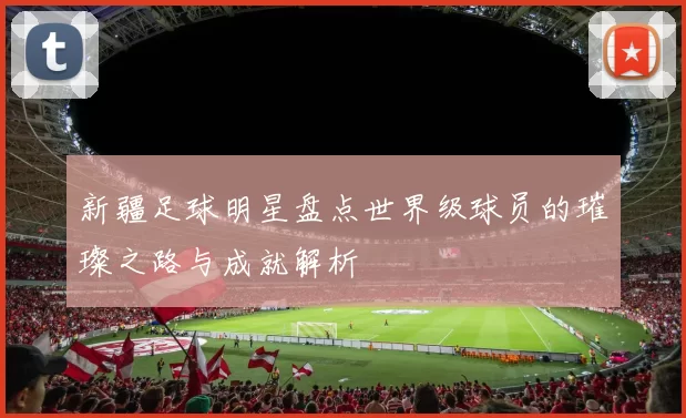 新疆足球明星盘点世界级球员的璀璨之路与成就解析