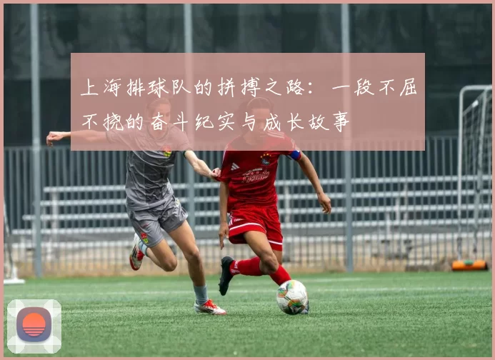 上海排球队的拼搏之路：一段不屈不挠的奋斗纪实与成长故事