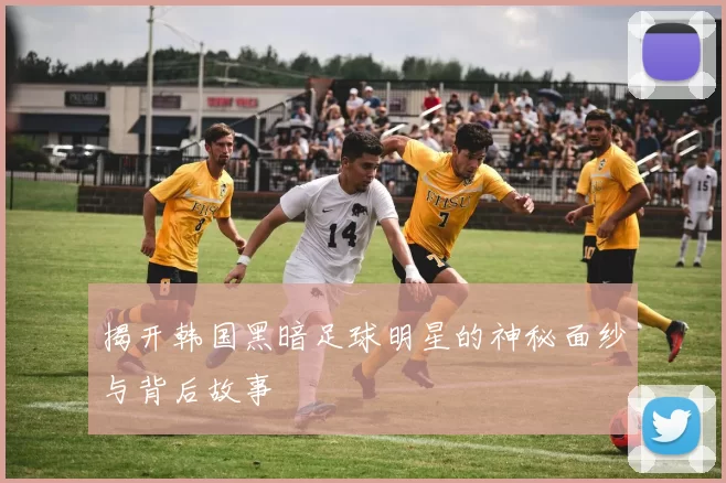 揭开韩国黑暗足球明星的神秘面纱与背后故事