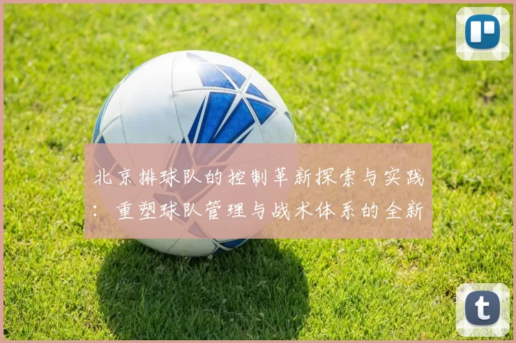 北京排球队的控制革新探索与实践：重塑球队管理与战术体系的全新视角