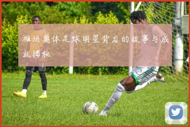 潍坊奥体足球明星背后的故事与成就揭秘