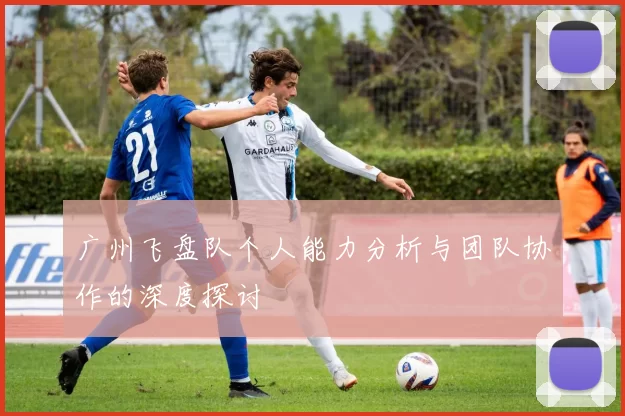 广州飞盘队个人能力分析与团队协作的深度探讨