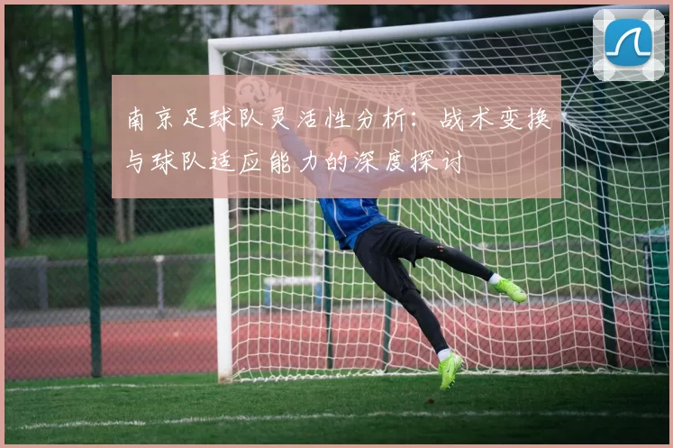 南京足球队灵活性分析：战术变换与球队适应能力的深度探讨