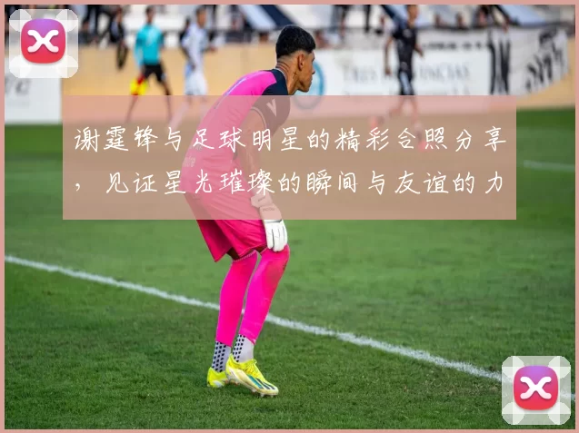 谢霆锋与足球明星的精彩合照分享，见证星光璀璨的瞬间与友谊的力量