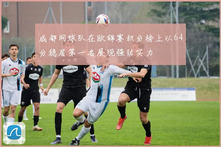 成都网球队在欧锦赛积分榜上以64分稳居第一名展现强劲实力