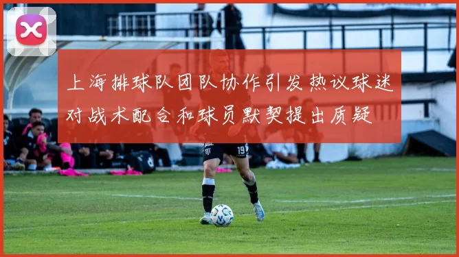 上海排球队团队协作引发热议球迷对战术配合和球员默契提出质疑