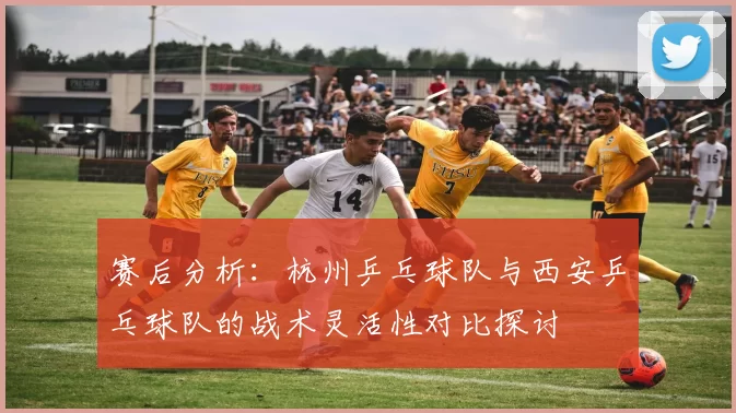 赛后分析：杭州乒乓球队与西安乒乓球队的战术灵活性对比探讨