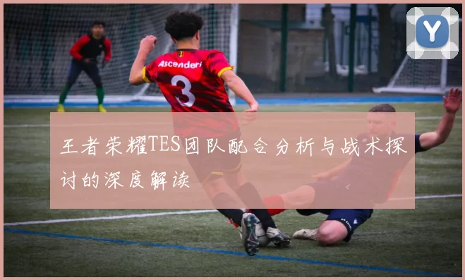 王者荣耀TES团队配合分析与战术探讨的深度解读