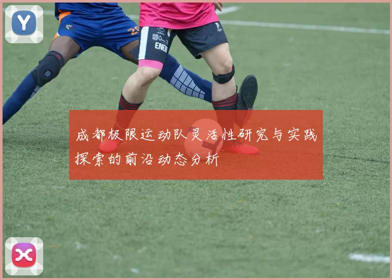 成都极限运动队灵活性研究与实践探索的前沿动态分析