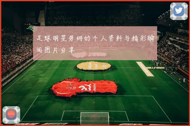 足球明星劳姆的个人资料与精彩瞬间图片分享
