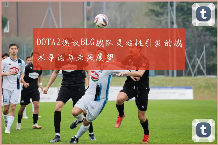 DOTA2热议BLG战队灵活性引发的战术争论与未来展望