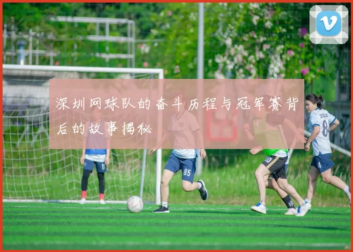 深圳网球队的奋斗历程与冠军赛背后的故事揭秘