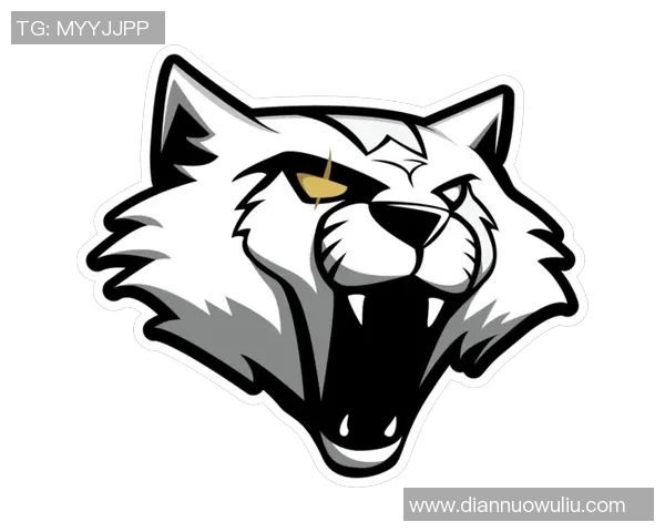 CSGO战术解析：WE战队的进攻体系与战术布局深度剖析