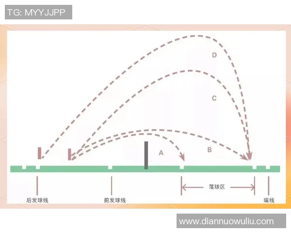 杨强独家分享羽毛球技巧与心得助你提升球技的全面指南