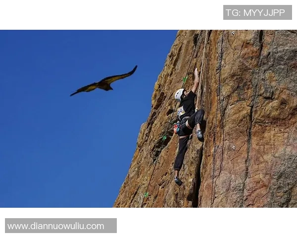 武汉攀岩队与西安攀岩队赛后复盘分析两队节奏与表现的深度对比