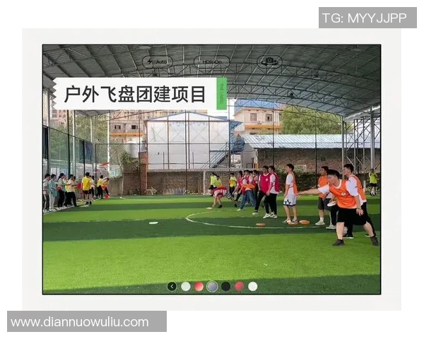 武汉飞盘队个人能力深度解析与团队协作的完美结合